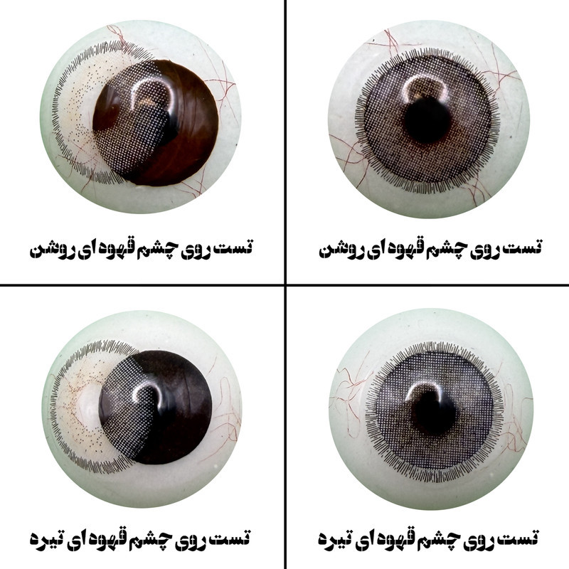 لنز چشم رویال ویژن مدل APRICOT کد 10 رنگ طوسی عسلی طبیعی دوردار