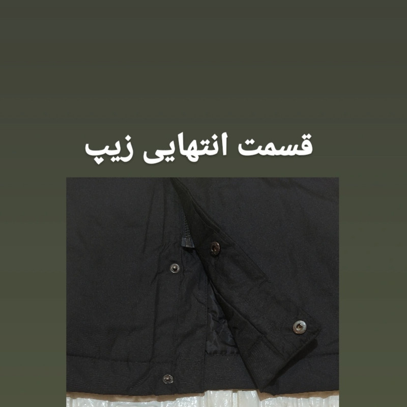 کاپشن مردانه الویت مدل L8888