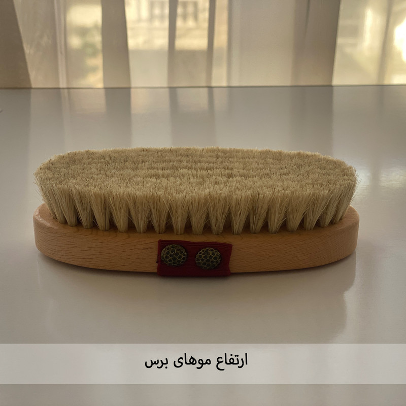 برس شستشوی بدن مگ مدل موی اسب