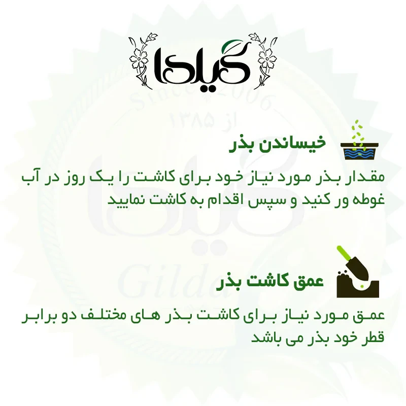 بذر صیفی جات گلدانی گیلدا کد 094 مجموعه 10 عددی