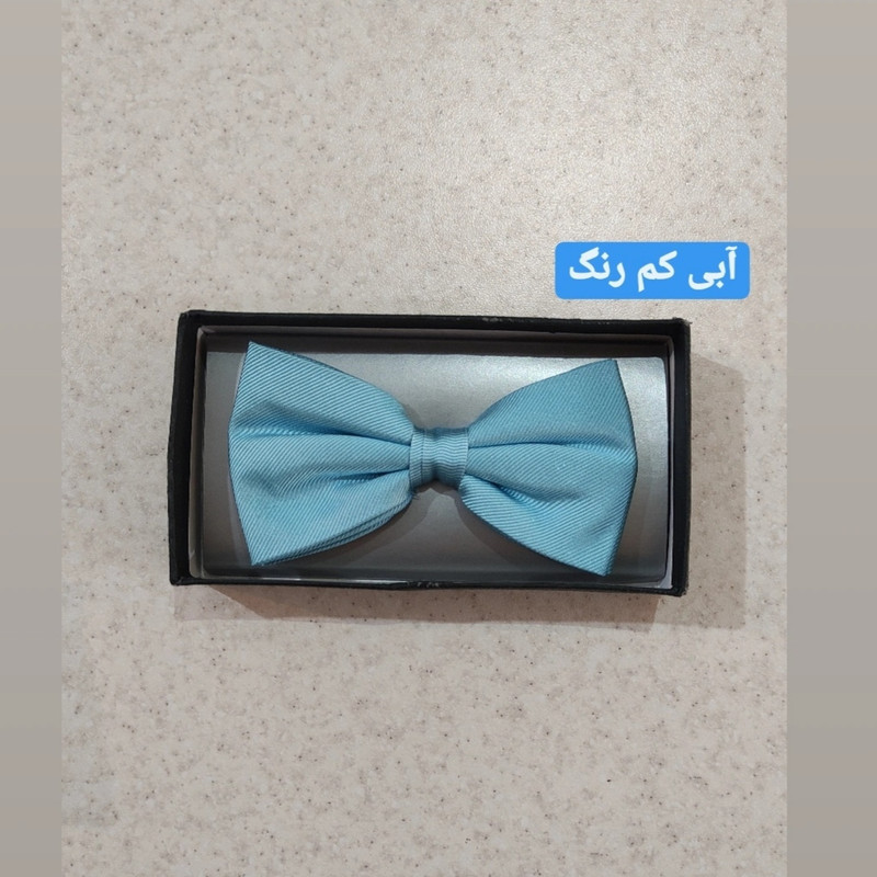 پاپیون مردانه درسمن مدل P22