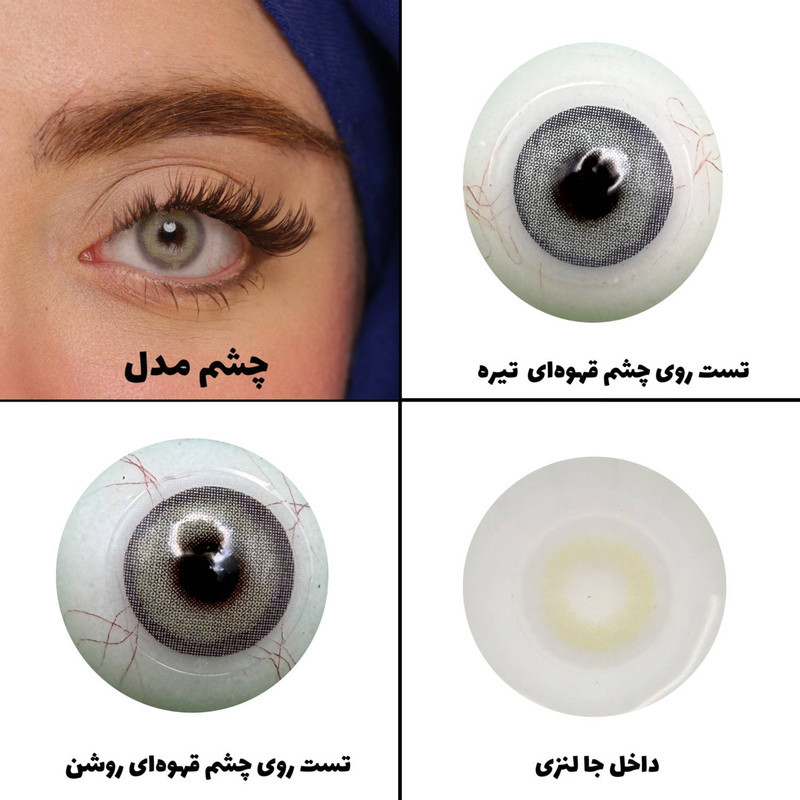 لنز چشم رویال ویژن مدل PIXY GRAY کد 31 رنگ طوسی روشن بدون دور