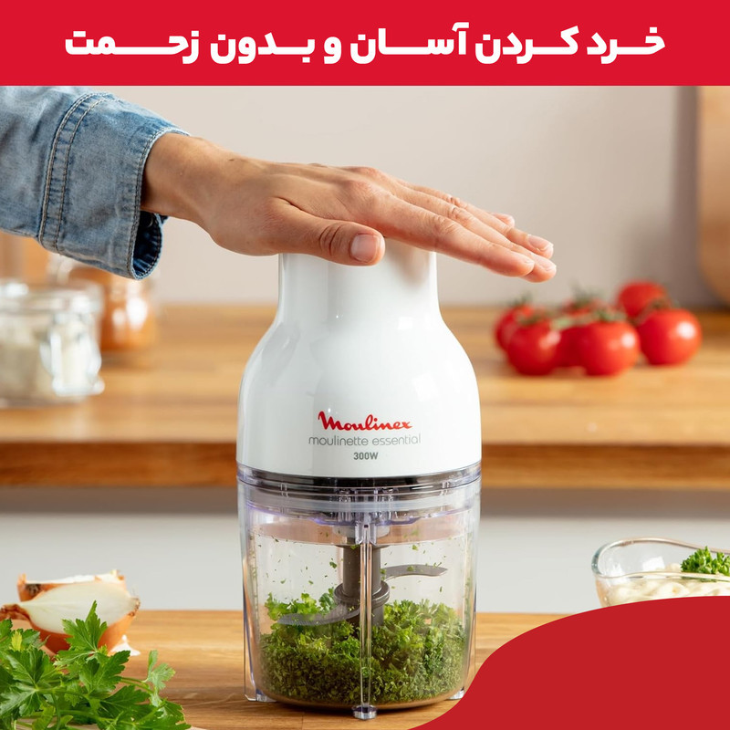 خردکن 0.4 لیتری مولینکس مدل dj520