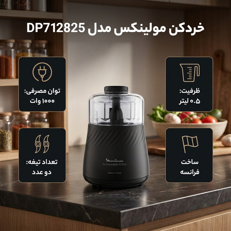خردکن 0.5 لیتری مولینکس مدل DP712825