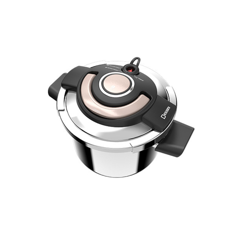 زودپز دسینی مدل INOCOOK ZL1005 گنجایش 6 لیتر