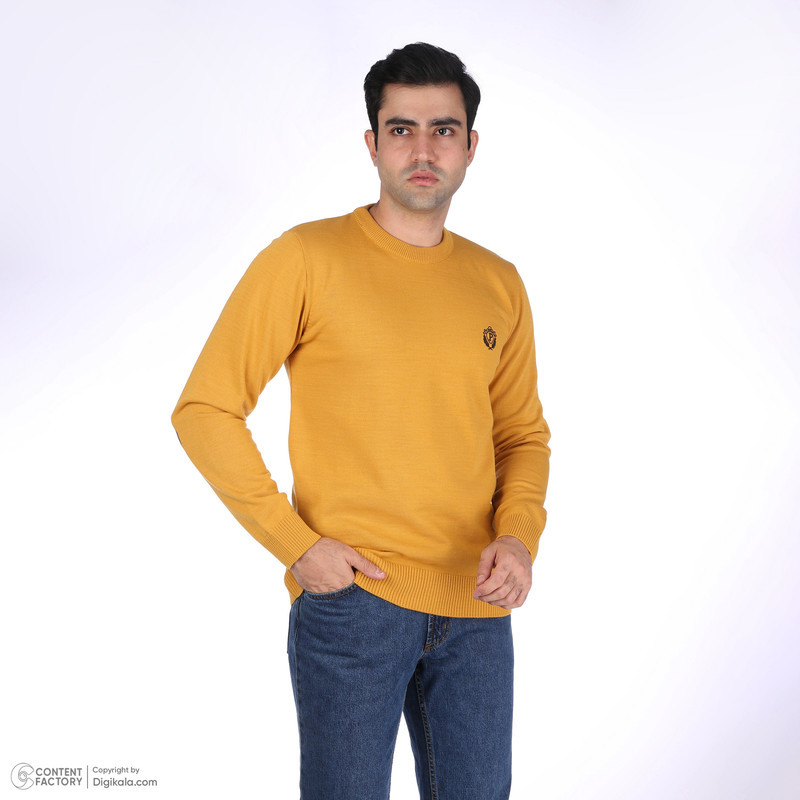 پلیور یقه گرد مردانه تریکو پاییزان مدل PR700