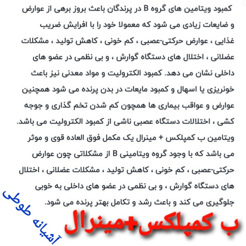 محلول ویتامین ب کمپلکس پرندگان مدلB.Elcarnitine حجم 10میلی لیتر