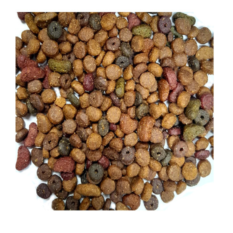غذا خشک گربه بالغ لول کت مدل ADULT INDOOR DAILY فله طعم مرغ و ماهی وزن 1000گرم