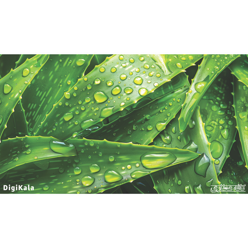 ژل ارگانیک آلوئه ورا مدل کلاسیک حجم 250 میلی لیتر
