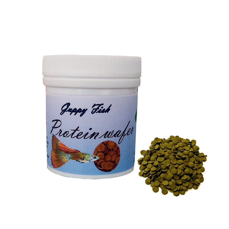 غذای ماهی گوپی مدل spirulina protein وزن 150 گرم بسته 3 عددی