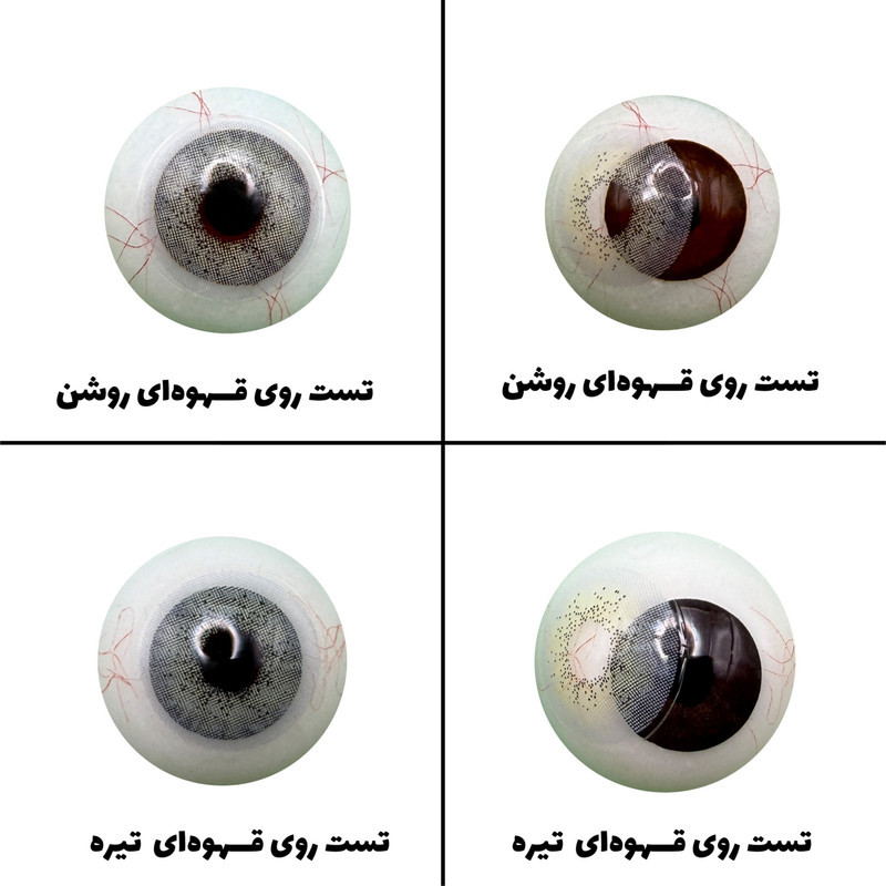 لنز چشم رویال ویژن مدل LAZORD کد 19 رنگ سبز عسلی بدون دور