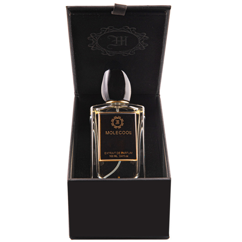 ادوپرفیوم مردانه مولکول مدل SILVER SCENT حجم 100 میلی لیتر