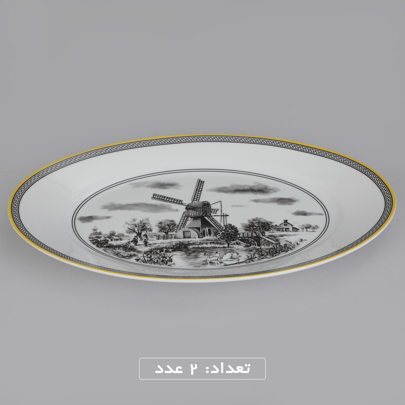 سرویس چینی 102 پارچه غذا خوری چینی زرین ایران سری ایتالیا اف مدل ویلیج درجه یک