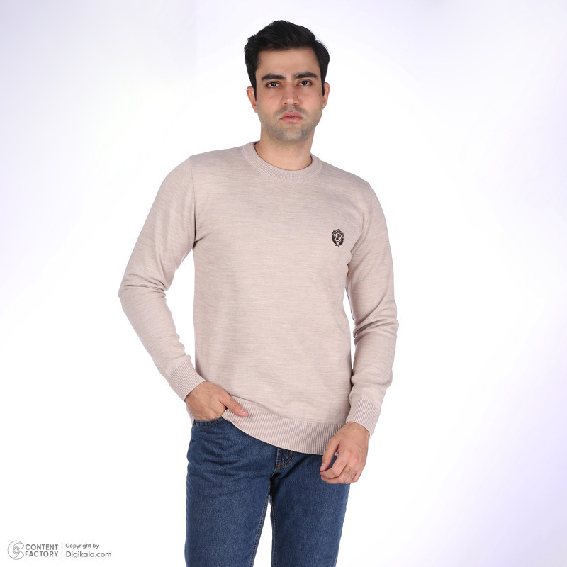 پلیور یقه گرد مردانه تریکو پاییزان مدل  PR700