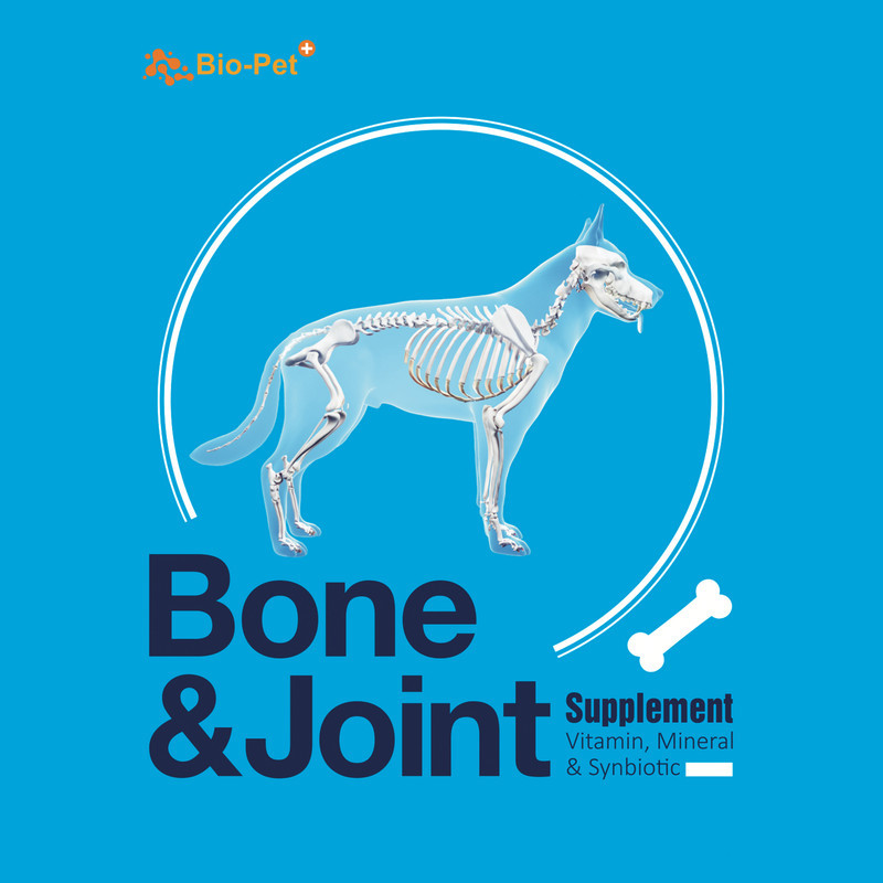 پودر مکمل بایو پت مدل Bone and Joint وزن 200 گرم