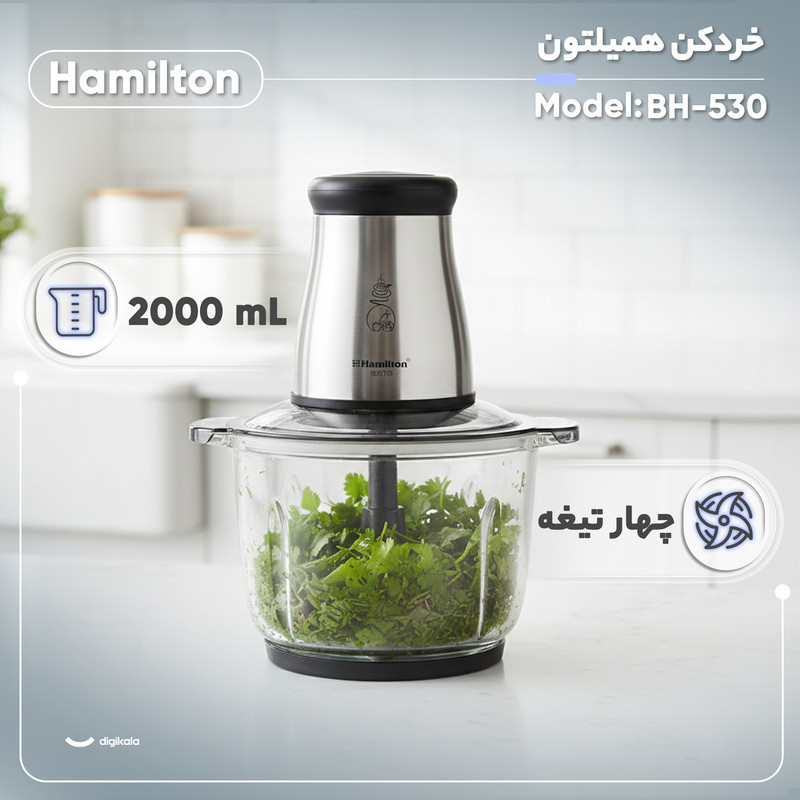 خردکن 2 لیتری همیلتون مدل BH-530