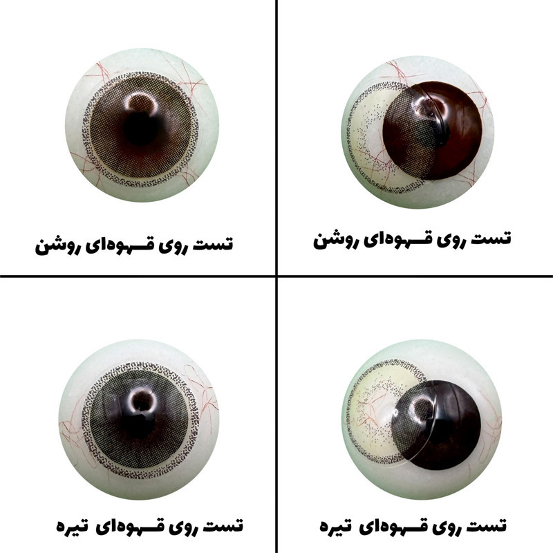 لنز چشم رویال ویژن مدل CITREOUS کد 23 رنگ میکس طوسی عسلی سبز دوردار