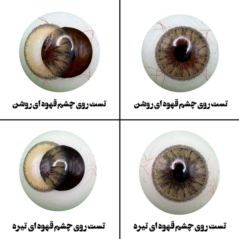 لنز چشم رویال ویژن مدل CARAMEL BR کد 15 رنگ قهوه ای کاراملی دور دار