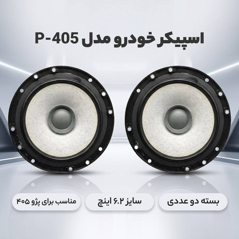 اسپیکر خودرو مدل P-405 بسته دو عددی