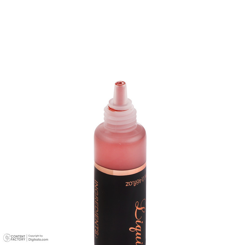 رژ گونه مایع شیز نایس شماره 001