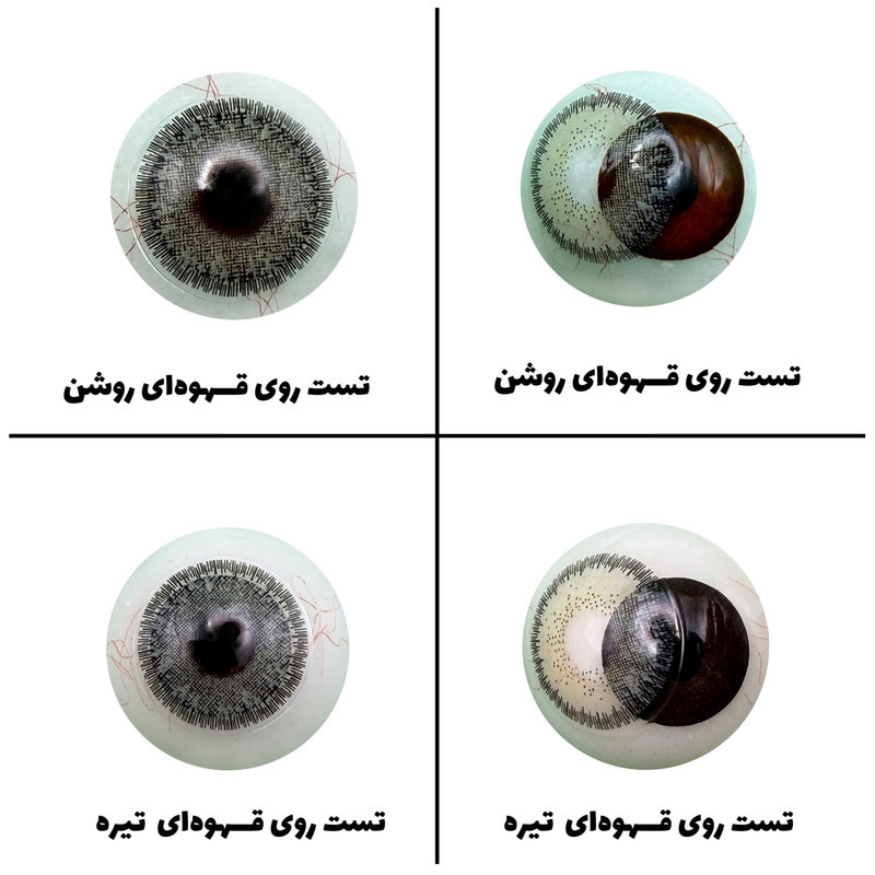 لنز چشم رویال ویژن مدل LUMIRERE GRAY کد 05 رنگ طوسی سبز دوردار