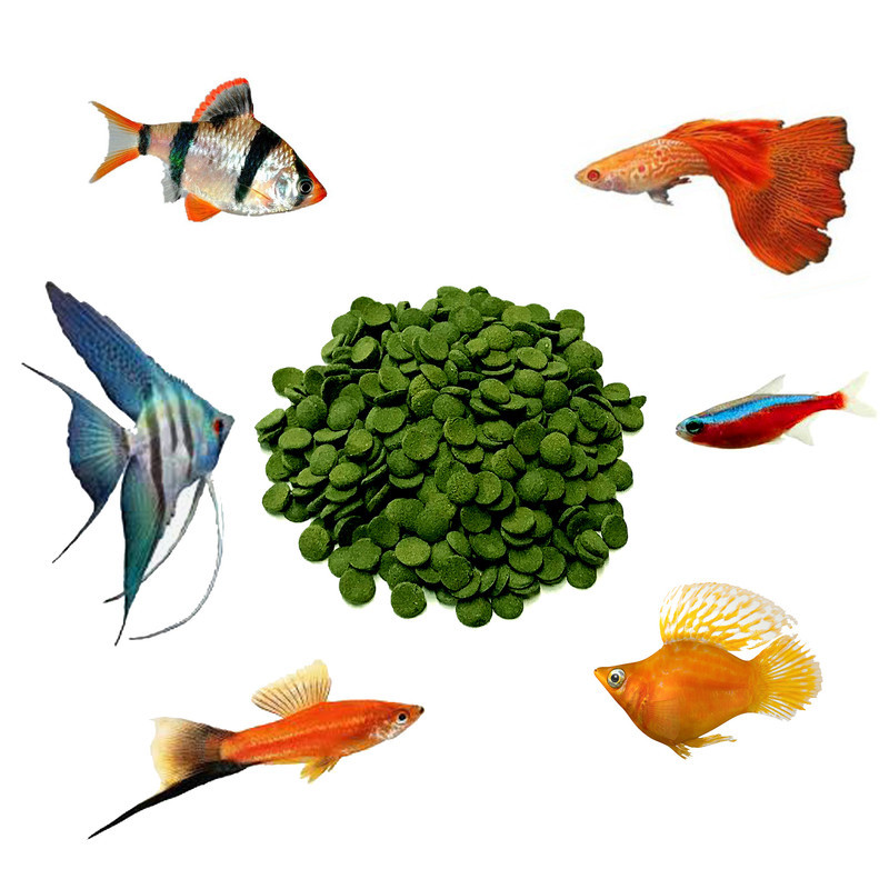 غذای ماهی گوپی مدل spirulina wafer وزن 50 گرم