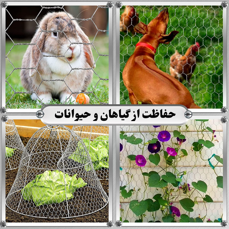 توری مدل مرغی گالوانیزه کد G12045 طول 45 متر