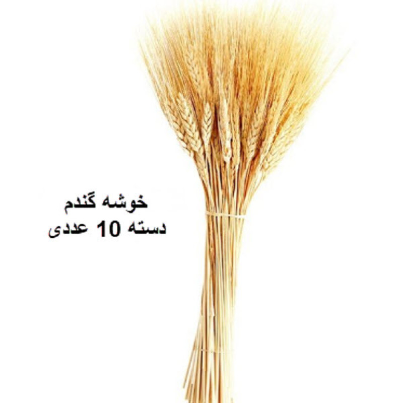 گل خشک مدل گندم کد 10