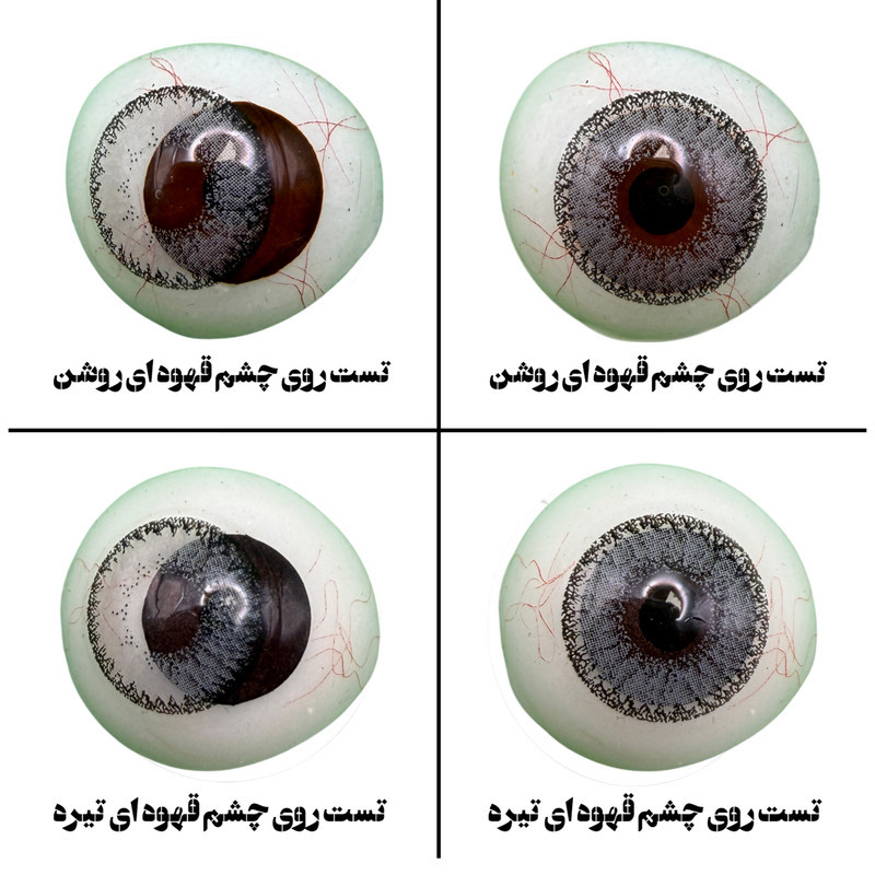 لنز چشم هرا گریس تمیم کانتکت لنز کد 05 رنگ طوسی دور دار
