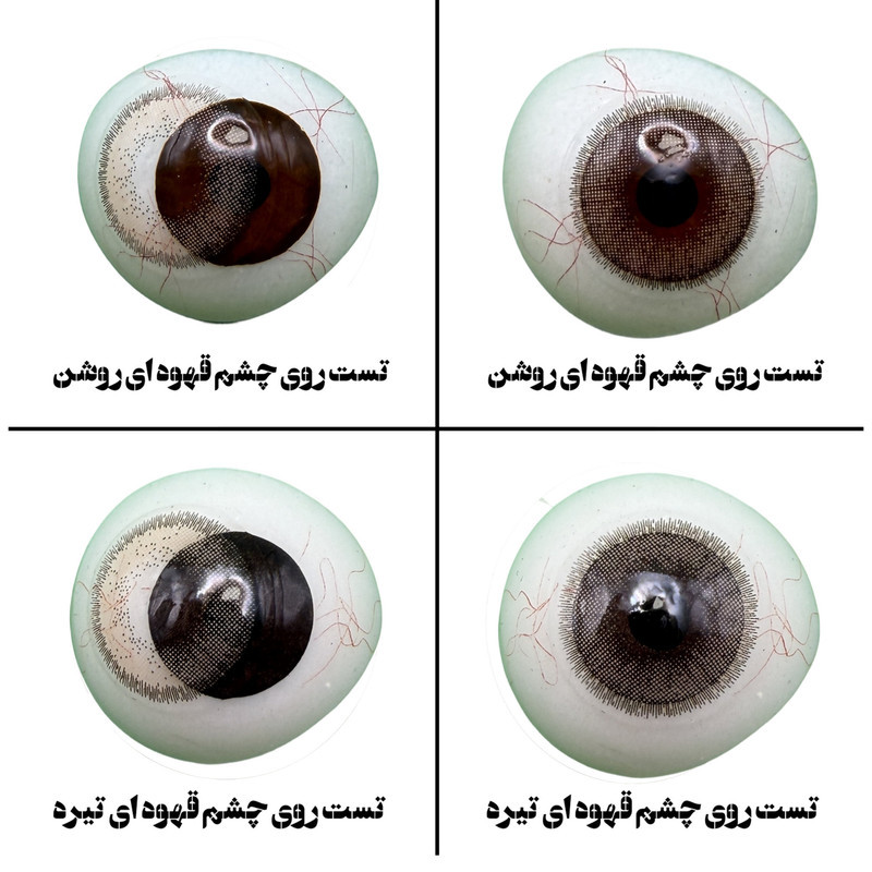 لنز چشم هرا گریس تمیم کانتکت لنز مدل COCO کد 34  رنگ قهوه ای طبیعی دوردار