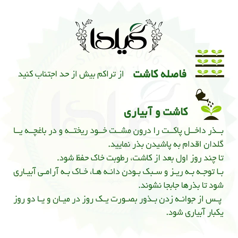 بذر شوید گیلدا کد 122