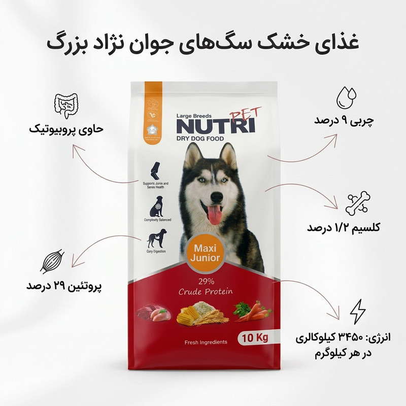غذای خشک سگ نابالغ نوتری پت مدل نژاد بزرگ با طعم مرغ و گوشت وزن 10 کیلوگرم