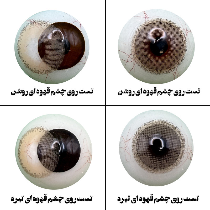لنز چشم رویال ویژن مدل LUXURY BR کد 36 رنگ قهوه ای طبیعی دوردار