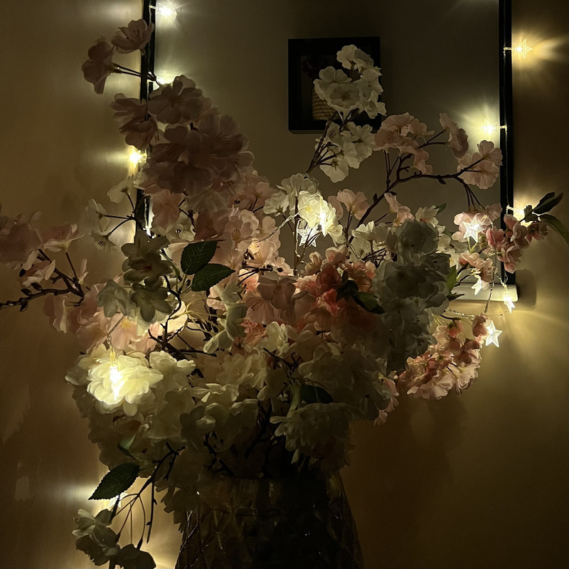 ریسه ال ای دی طرح ستاره کد 01 طول 4 متر