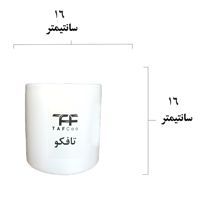 گل طبیعی سانسوريا تافکو کد s1