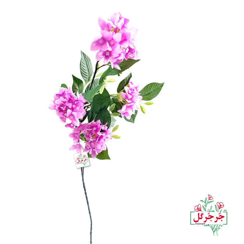 گل مصنوعی جُرجُرگل مدل شاخه شکوفه یاس رومیزی با طراحی 4 بازو، مقاوم در برابر نور و گردوغبار، قابلیت تمیزکاری با دستمال مرطوب، ابعاد 15×10×75 سانتی‌متر، وزن 100 گرم