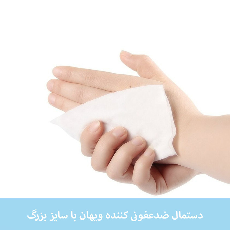 دستمال مرطوب ویهان مدل آنتی باکتریال مجموعه 100 عددی