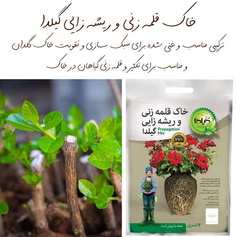 خاک قلمه زنی و ریشه زایی گیلدا مدل Propagation Mix حجم 4 لیتر