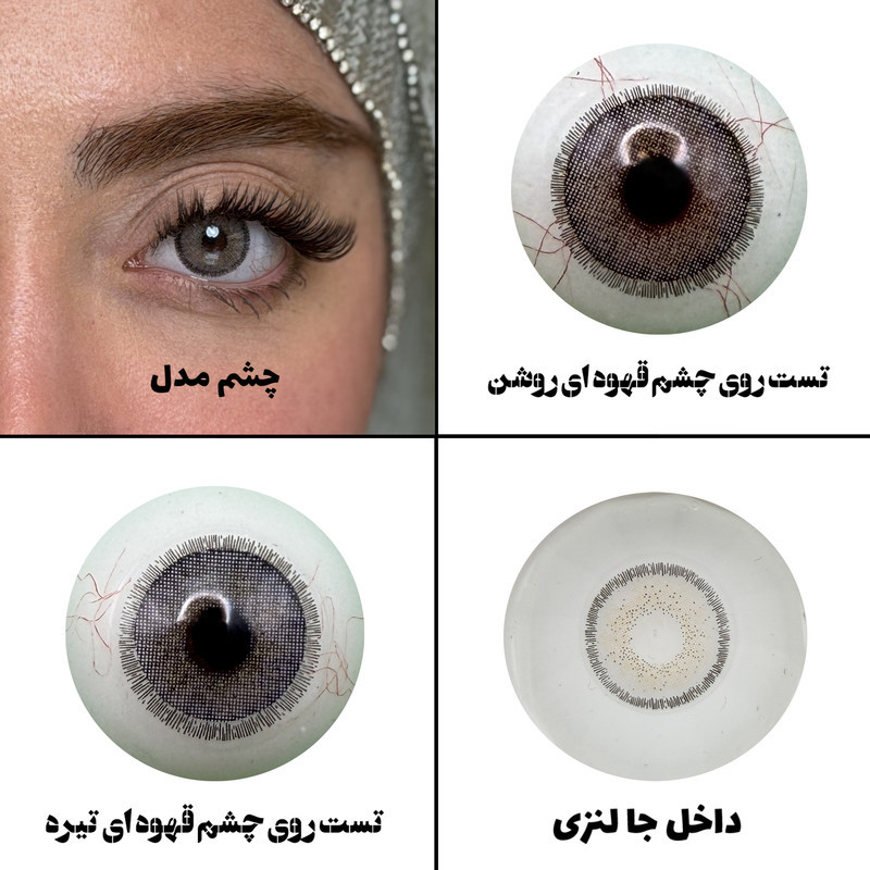 لنز چشم رویال ویژن مدل APRICOT کد 10 رنگ طوسی عسلی طبیعی دوردار