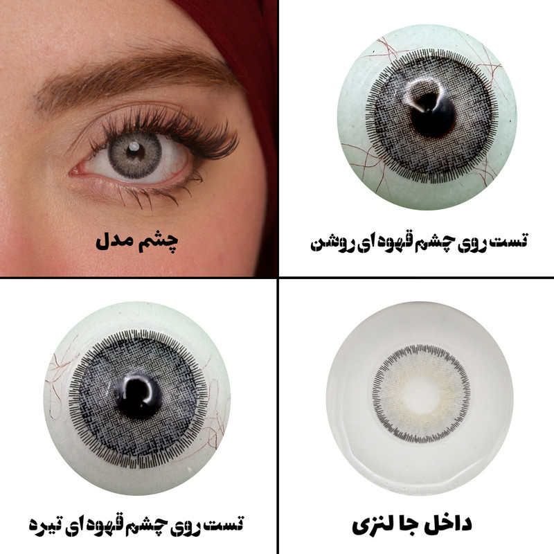 لنز چشم رویال ویژن مدل DREAM GR کد 02 رنگ طوسی طبیعی دوردار