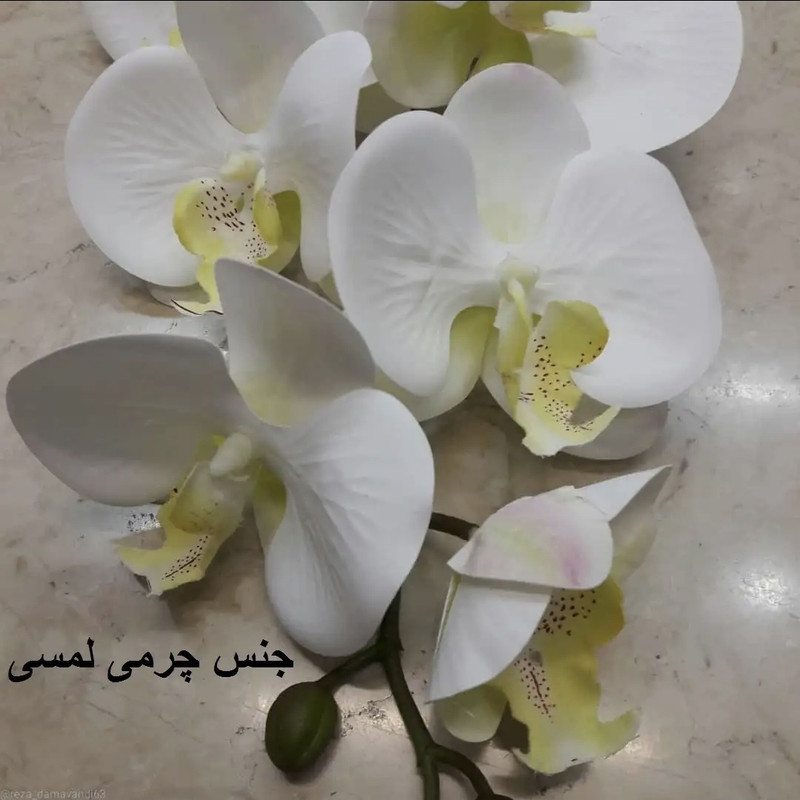گل مصنوعی مدل گل ارکیده