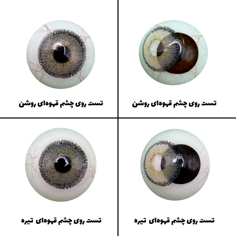 لنز چشم رویال ویژن مدل GRAFIT کد 13 رنگ طوسی سبز طبیعی دور دار