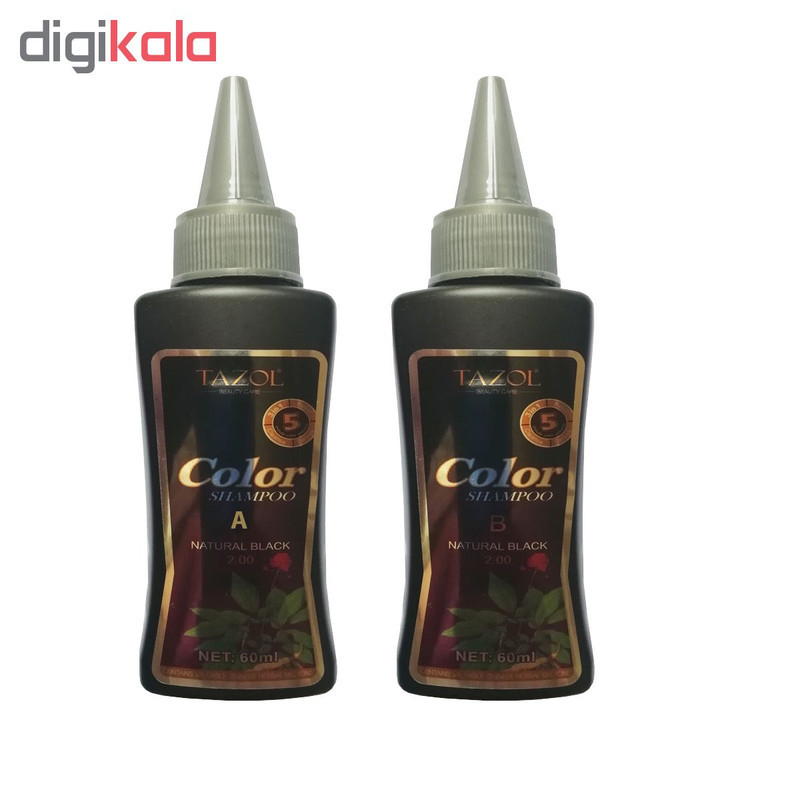 شامپو رنگ مو تزول شماره 2.0 حجم 60 میلی لیتر رنگ مشکی بسته 2 عددی