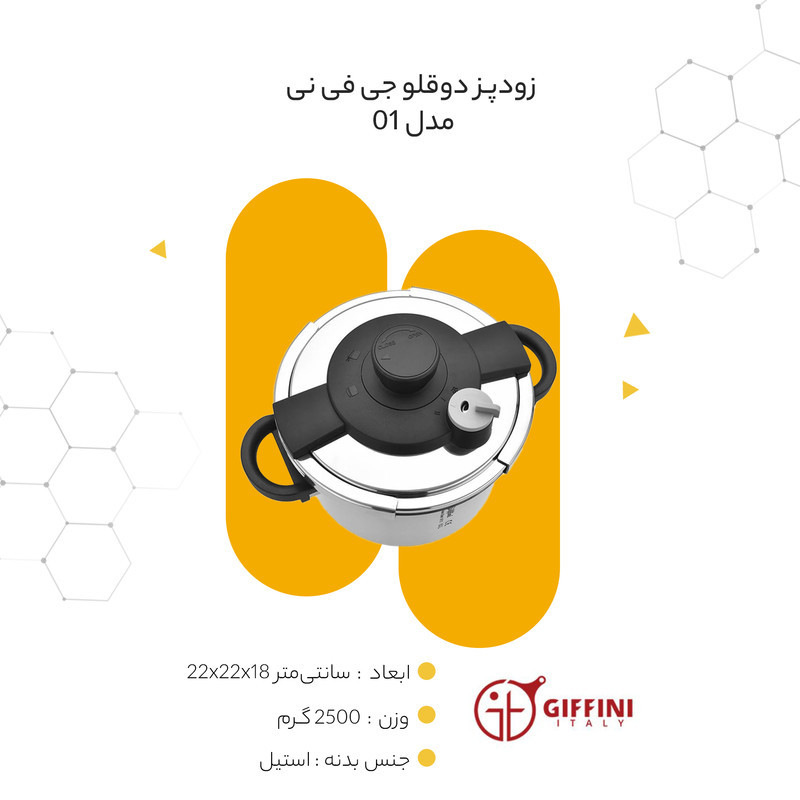 زودپز دوقلو جی فی نی مدل 01 گنجایش 6 و 4 لیتر