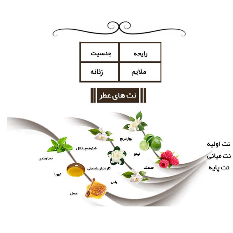 ادوپرفیوم زنانه ایفوریا مدل 1 میلیون لیدی حجم 30 میلی‌لیتر