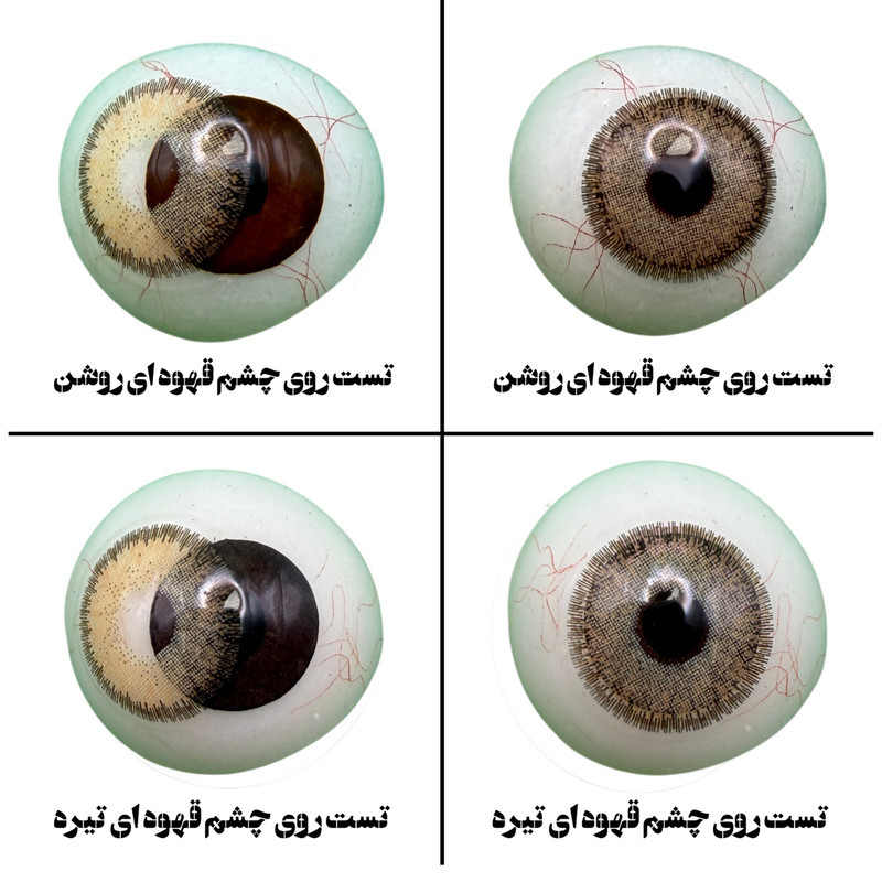 لنز چشم هرا گریس تمیم کانتکت لنز مدل DIVA HAZEL کد 17  رنگ عسلی دوردار