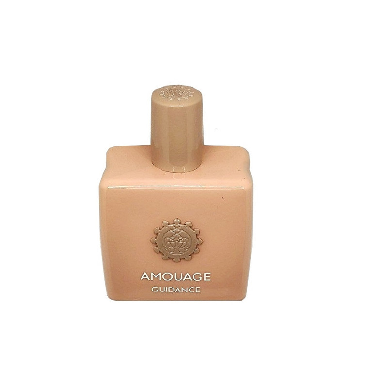 عطر ادو پرفیوم زنانه گایدنس مدل Amouage Guidance با رایحه گرم  حجم 100 میلی‌ لیتر