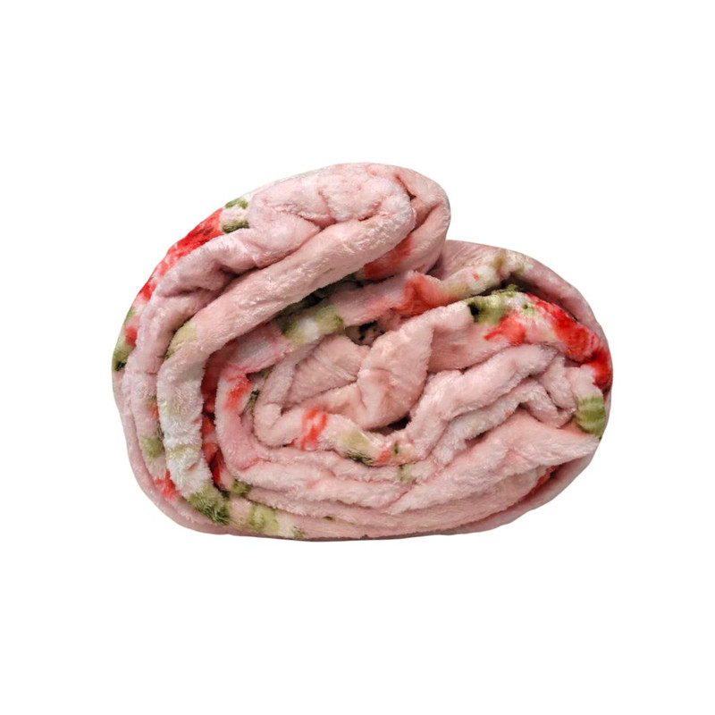 پتو مسافرتی دونفره تیسا مدل لایف سایز 220x200 سانتی متر