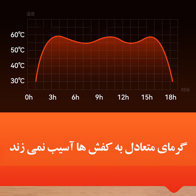 خشک کن و بوگیر کفش و جوراب مدل آنتنی