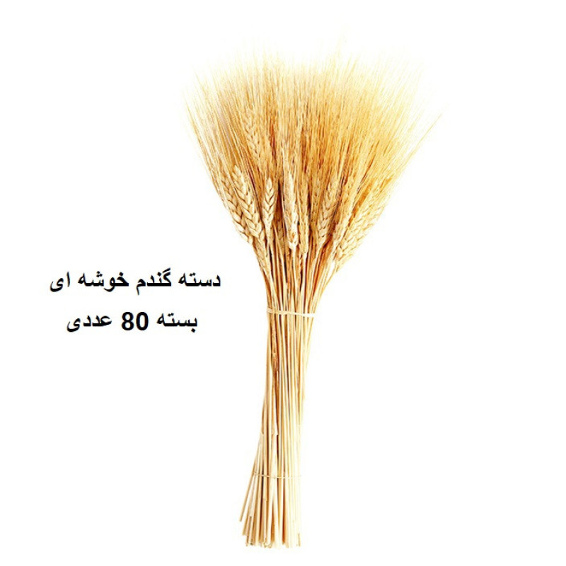 دسته گل خشک مدل خوشه گندم کد 80